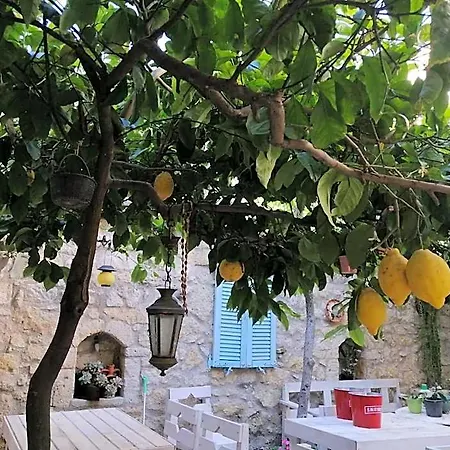 Kaktueshan Otel *